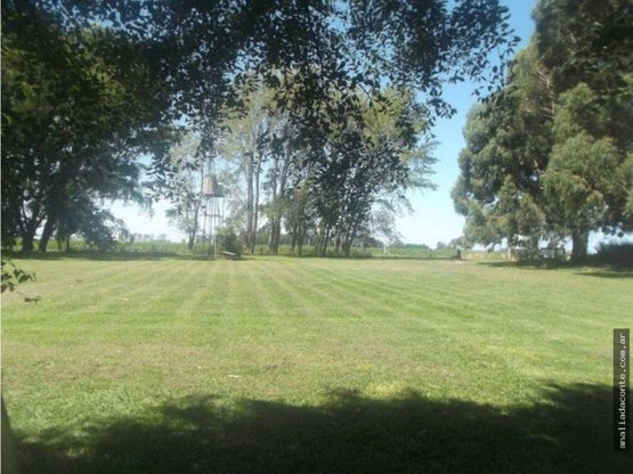 CAMPO MIXTO 103 HECTAREAS SOBRE RUTA 88 A 50 KM DE MAR DEL PLATA