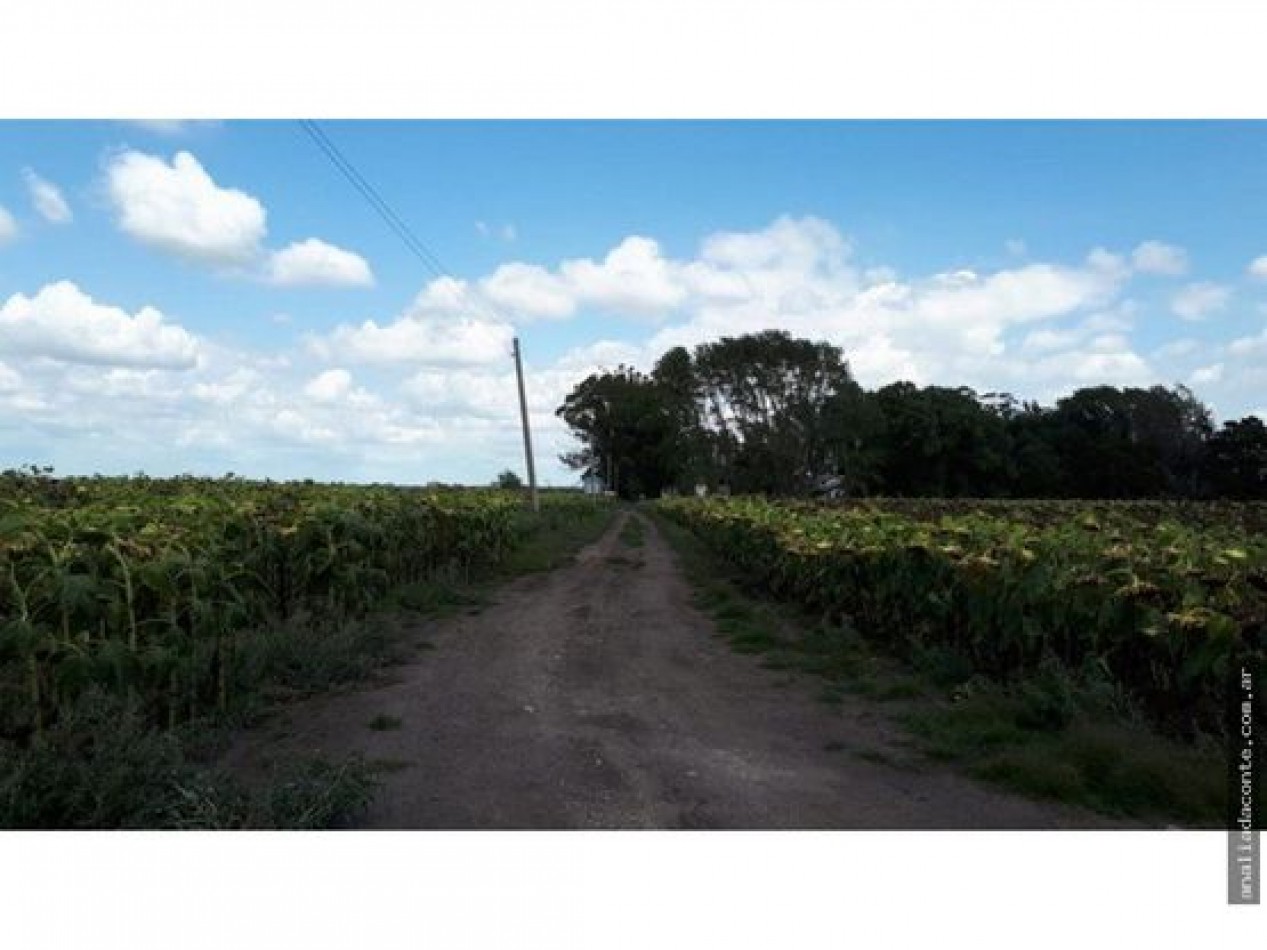 CAMPO MIXTO 103 HECTAREAS SOBRE RUTA 88 A 50 KM DE MAR DEL PLATA