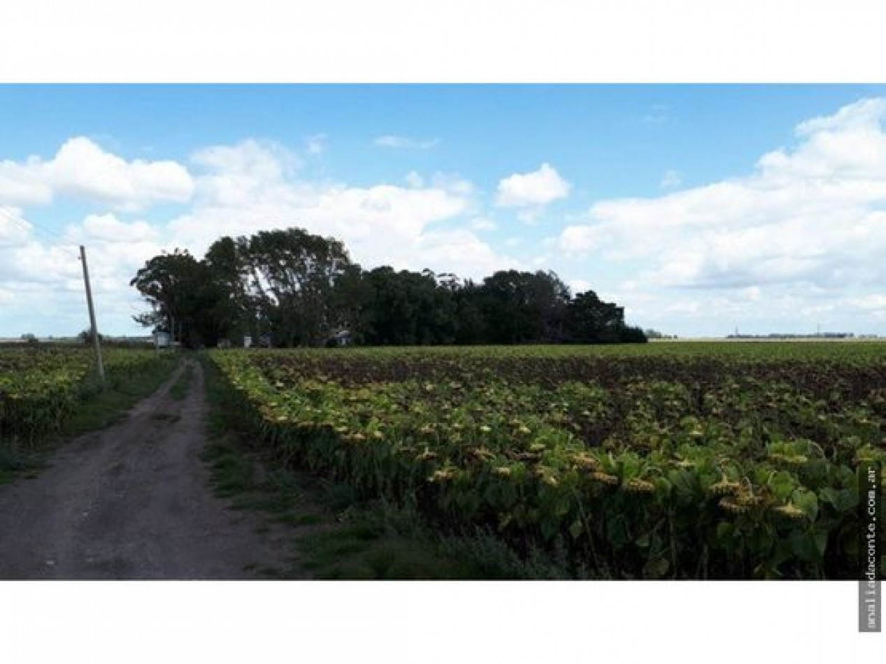 CAMPO MIXTO 103 HECTAREAS SOBRE RUTA 88 A 50 KM DE MAR DEL PLATA