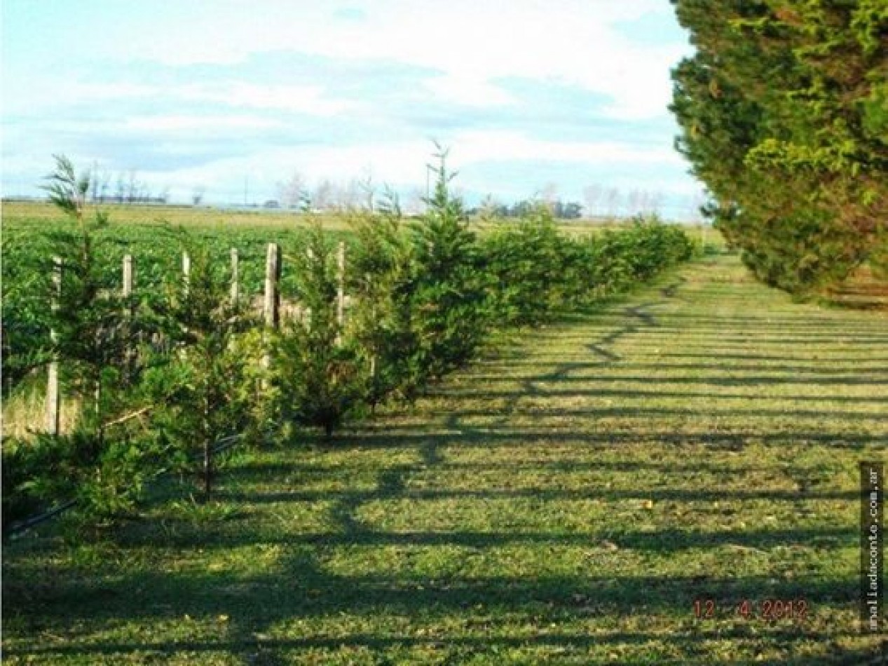 CAMPO MIXTO 103 HECTAREAS SOBRE RUTA 88 A 50 KM DE MAR DEL PLATA