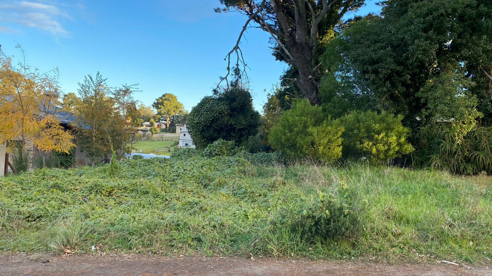 EXCELENTE OPORTUNIDAD LOTE SIERRA DE LOS PADRES 600 METROS!