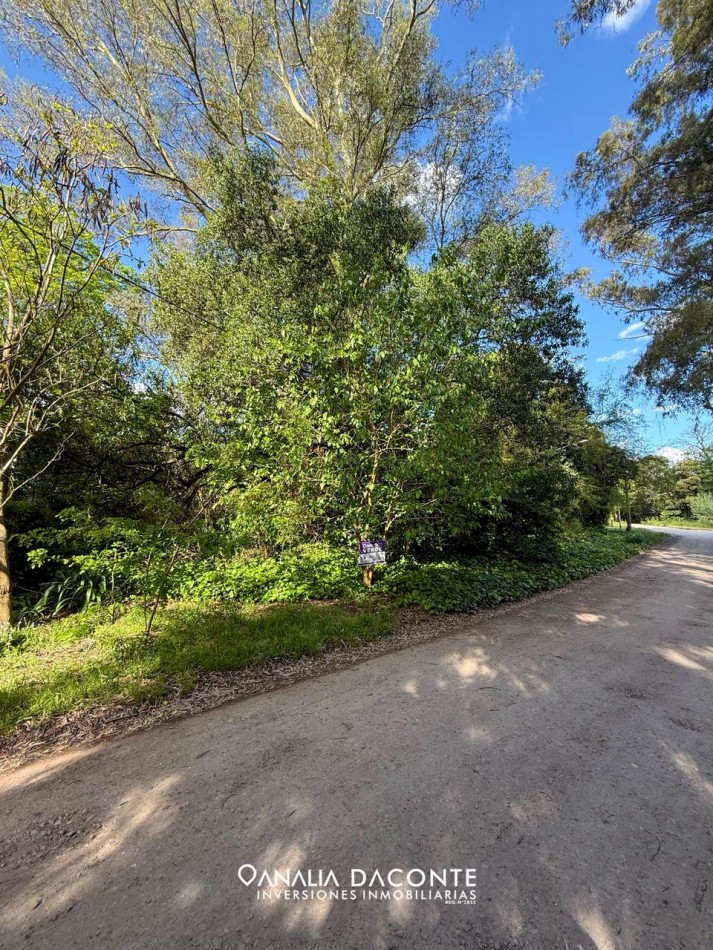 HERMOSO Y AMPLIO LOTE EN EL TEJADO!