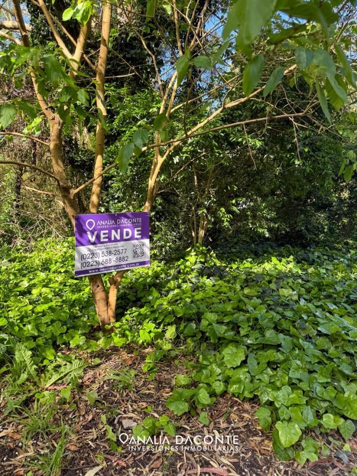 HERMOSO Y AMPLIO LOTE EN EL TEJADO!