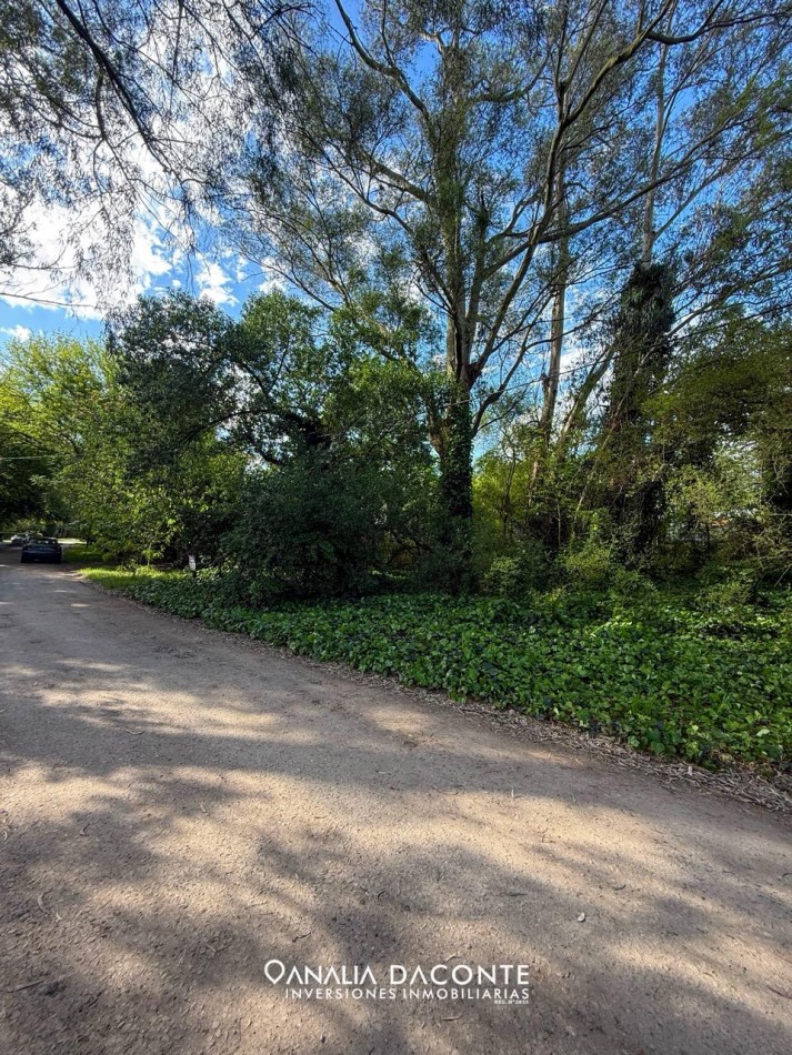 HERMOSO Y AMPLIO LOTE EN EL TEJADO!