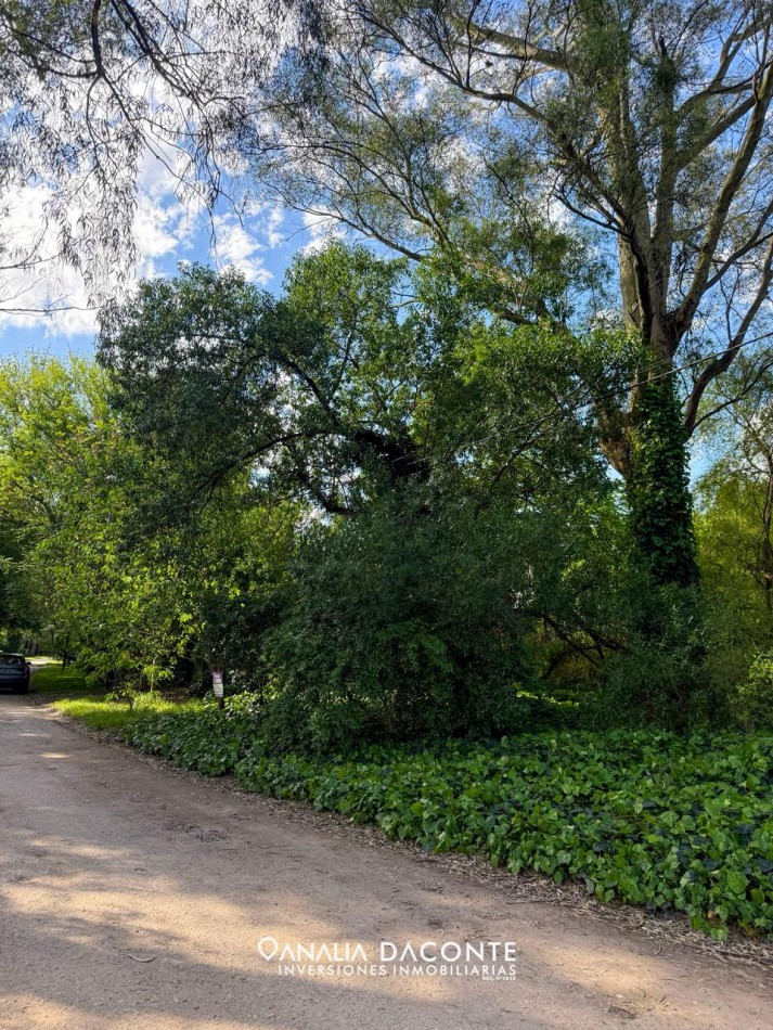 HERMOSO Y AMPLIO LOTE EN EL TEJADO!