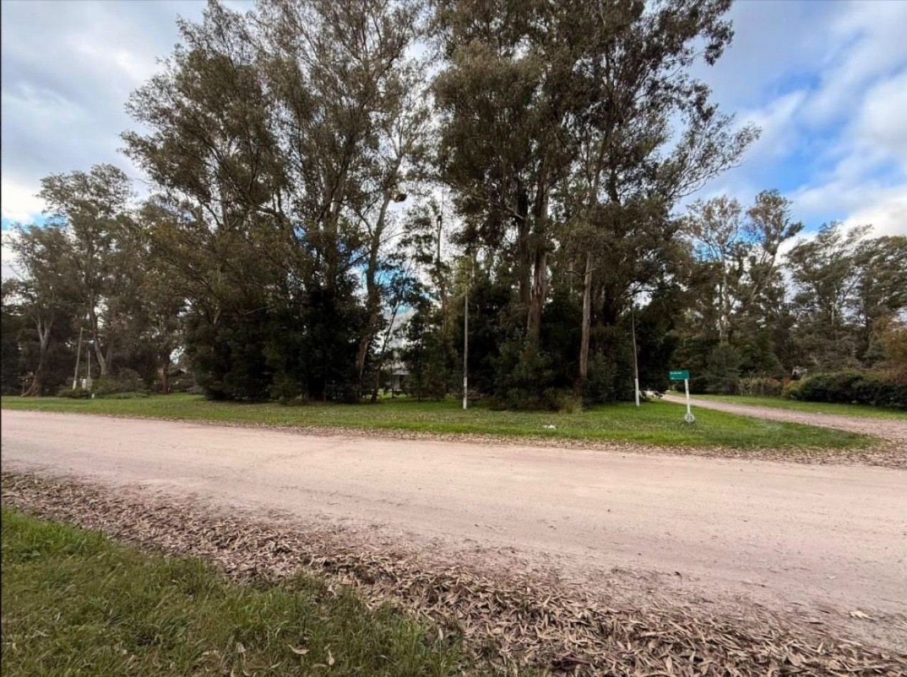 GRAN LOTE DE 1191M2 EN LA ARMONIA