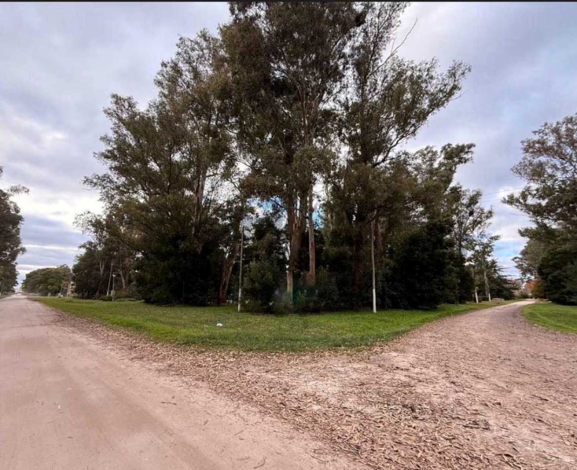 GRAN LOTE DE 1191M2 EN LA ARMONIA