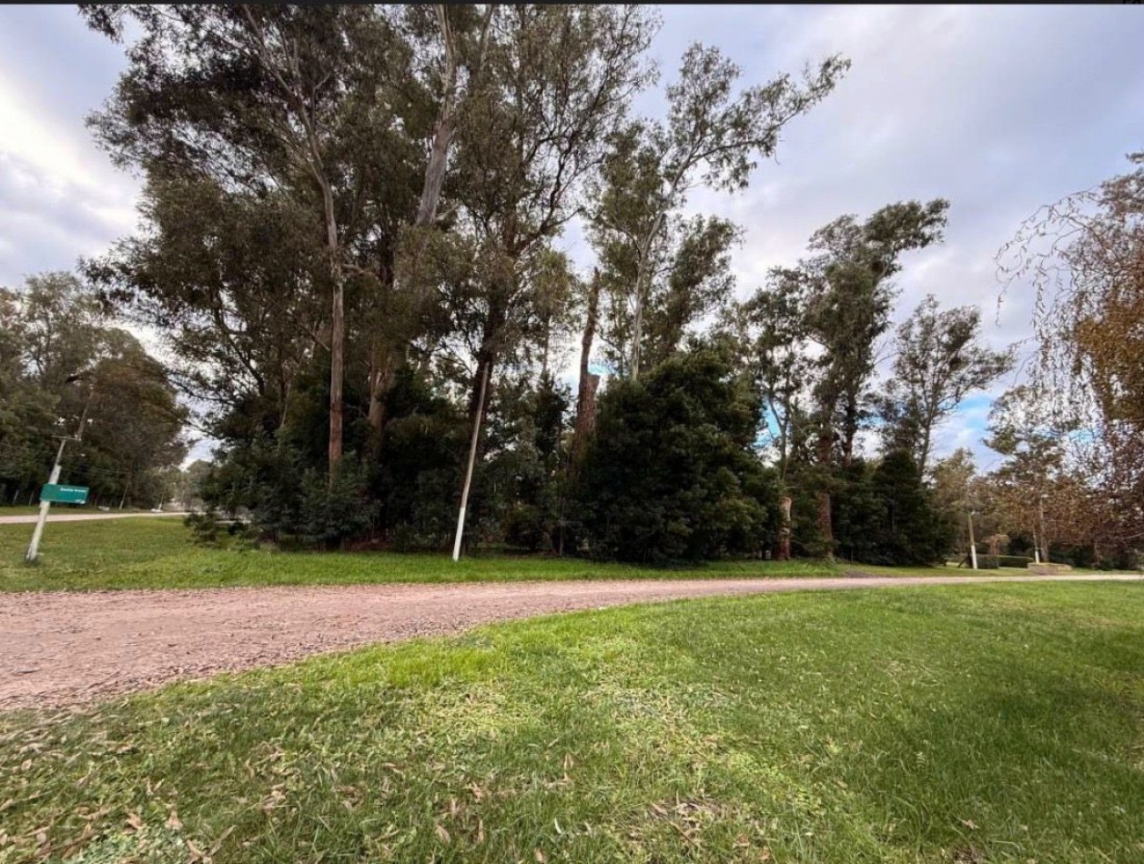 GRAN LOTE DE 1191M2 EN LA ARMONIA