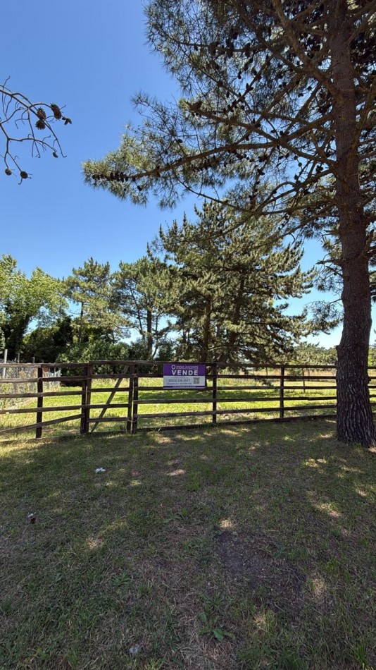 LOTE EN LA CALETA DE 421M2