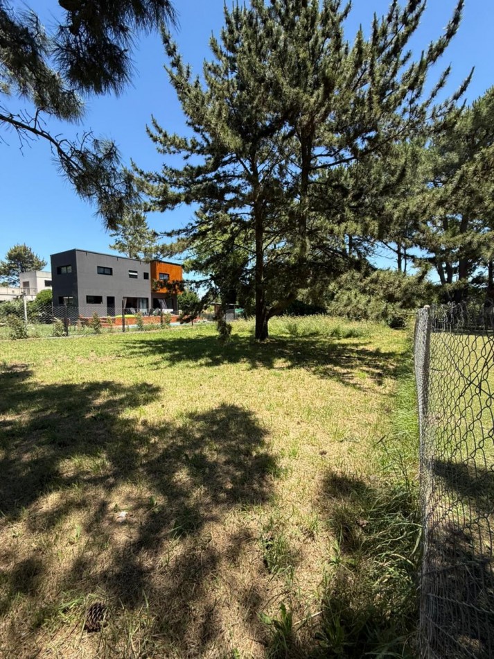 LOTE EN LA CALETA DE 421M2