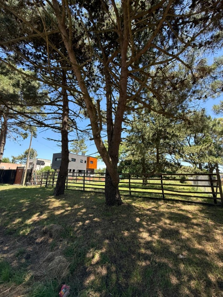 LOTE EN LA CALETA DE 421M2