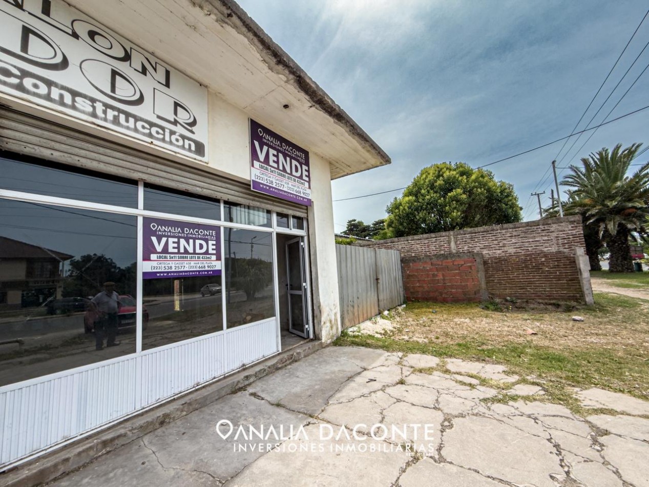 DOS LOCALES SOBRE AV. TEJEDOR. LOTE DE 433M2!