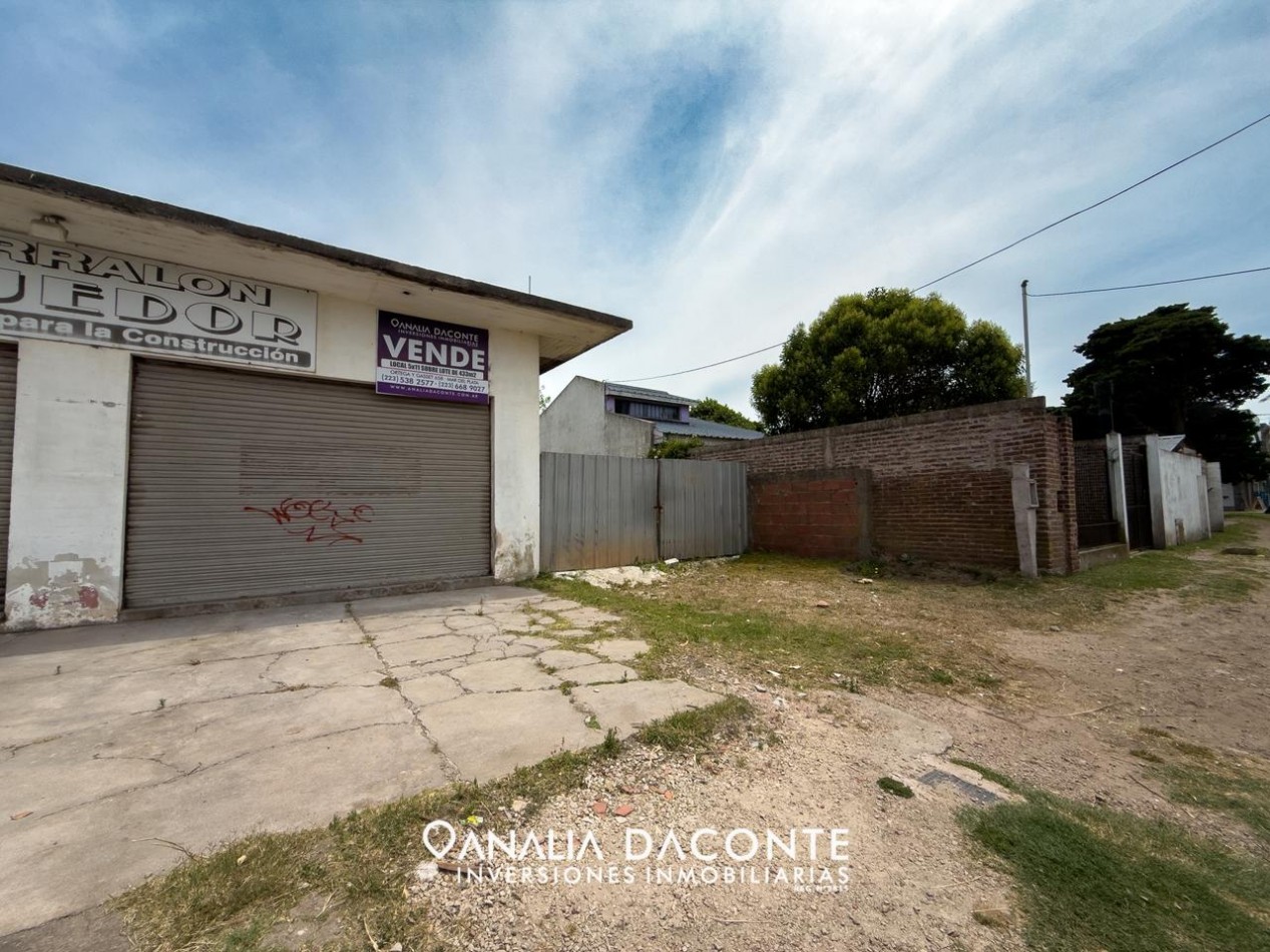 DOS LOCALES SOBRE AV. TEJEDOR. LOTE DE 433M2!