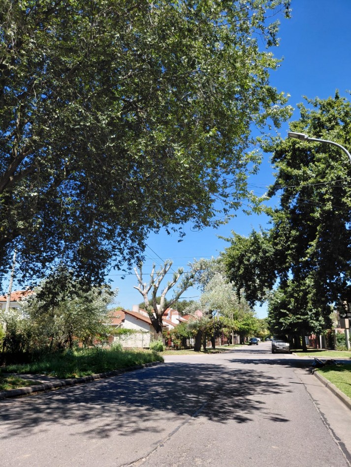 Gran lote en equina, a 200 metros de constitucion! inmejorable ubicacion!!