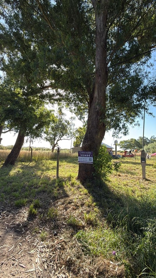 LOTE ANTE ESQUINA DE 262M2 EN BARRIO FELIX U CAMET! 