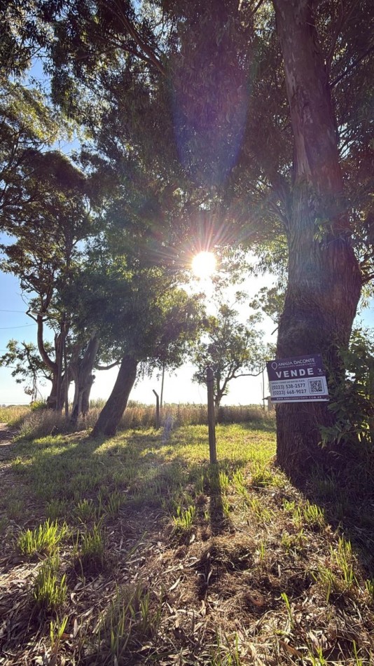 LOTE ANTE ESQUINA DE 262M2 EN BARRIO FELIX U CAMET! 
