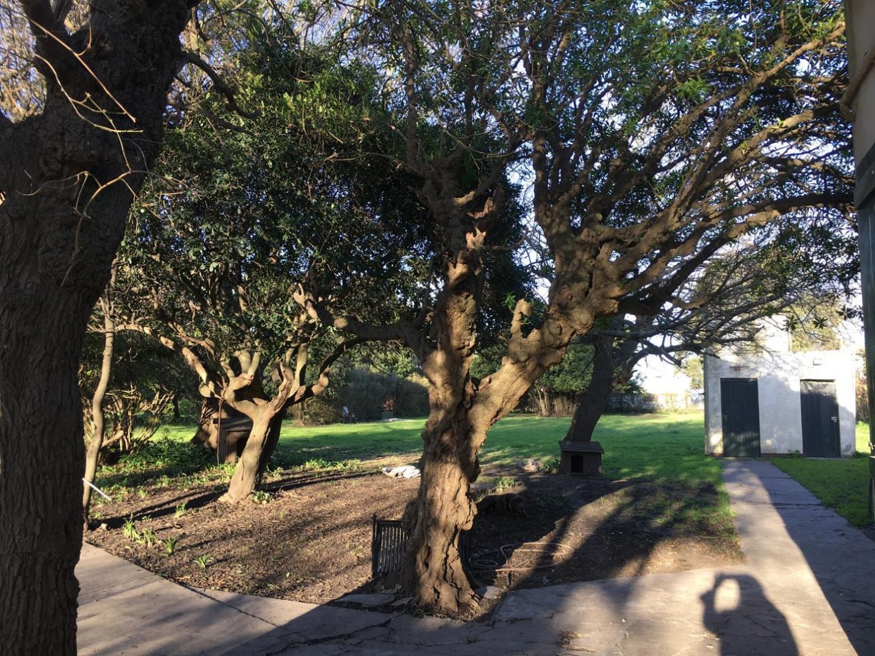 MANZANA COMPLETA CON LOCAL Y VIVIENDA!