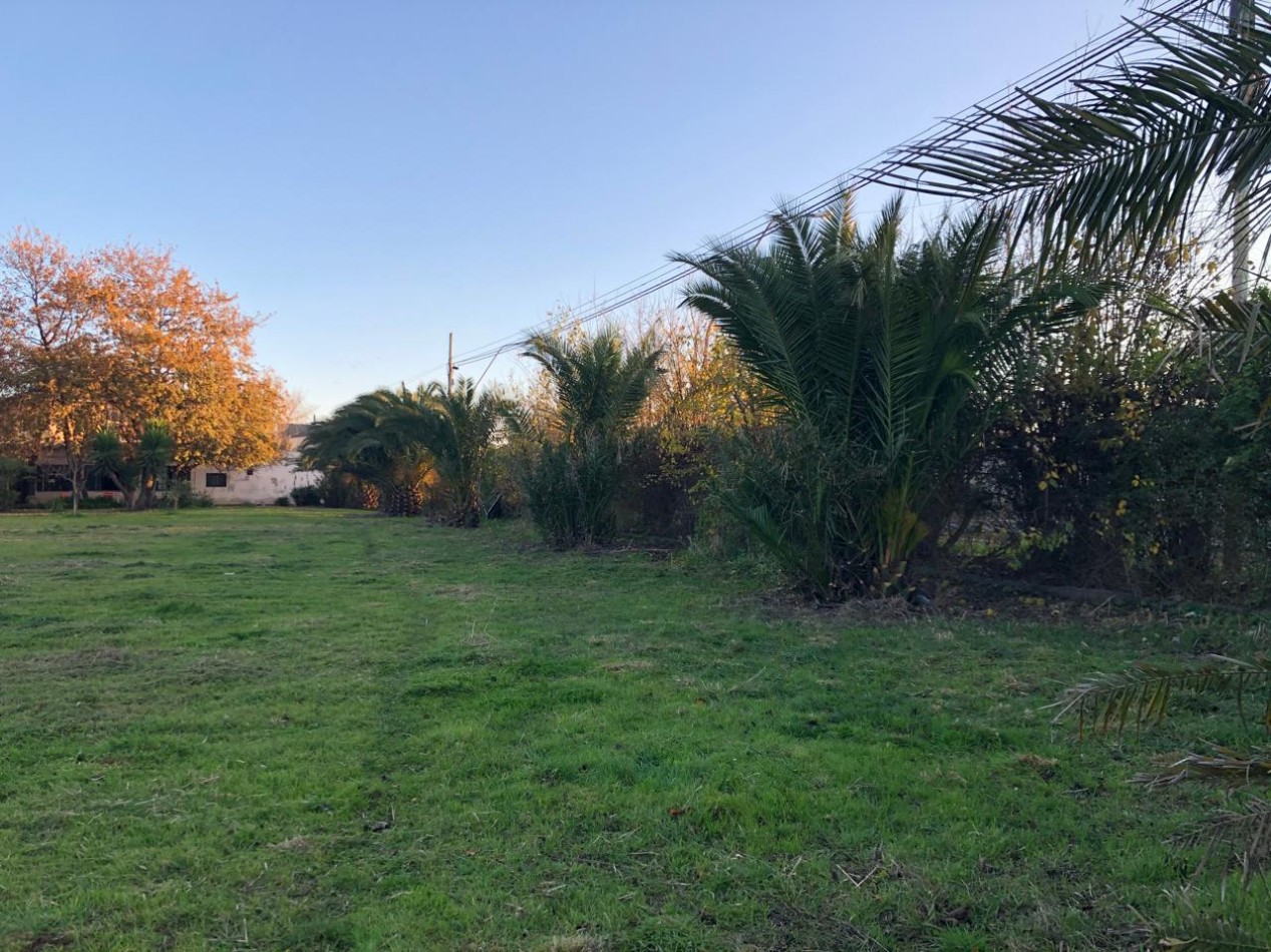 MANZANA COMPLETA CON LOCAL Y VIVIENDA!