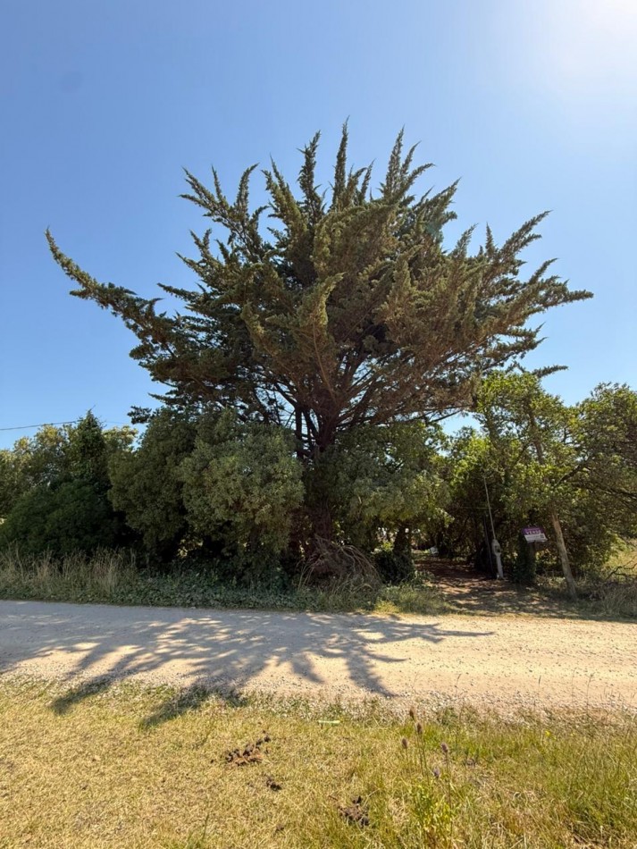 GRAN LOTE 20 X 51 METROS!BARRIO SANTA ISABEL