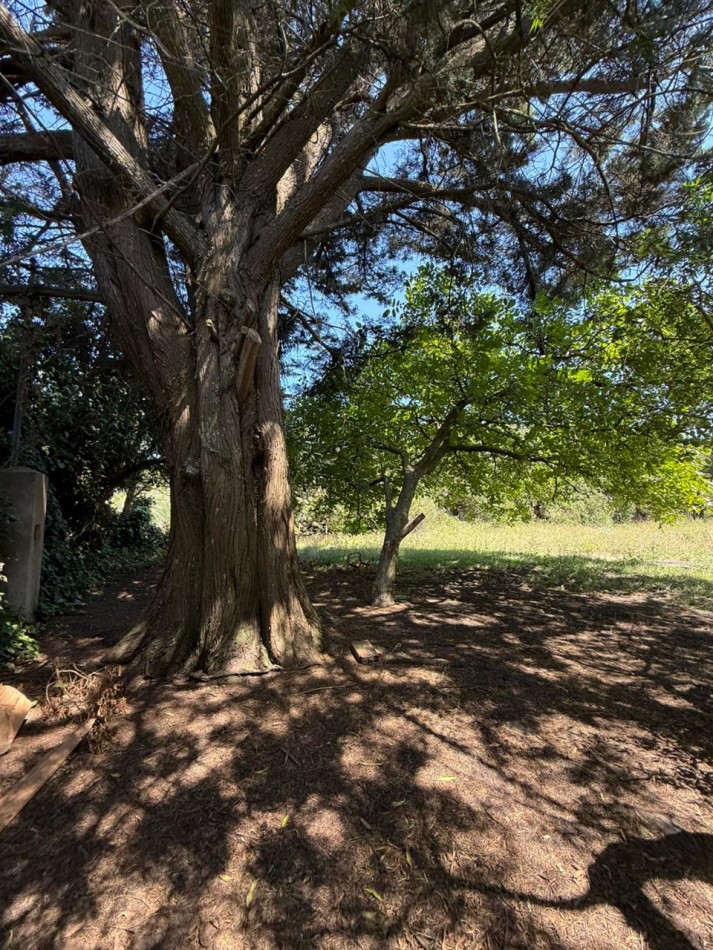 GRAN LOTE 20 X 51 METROS!BARRIO SANTA ISABEL