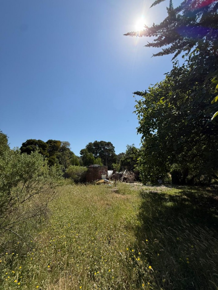 GRAN LOTE 20 X 51 METROS!BARRIO SANTA ISABEL