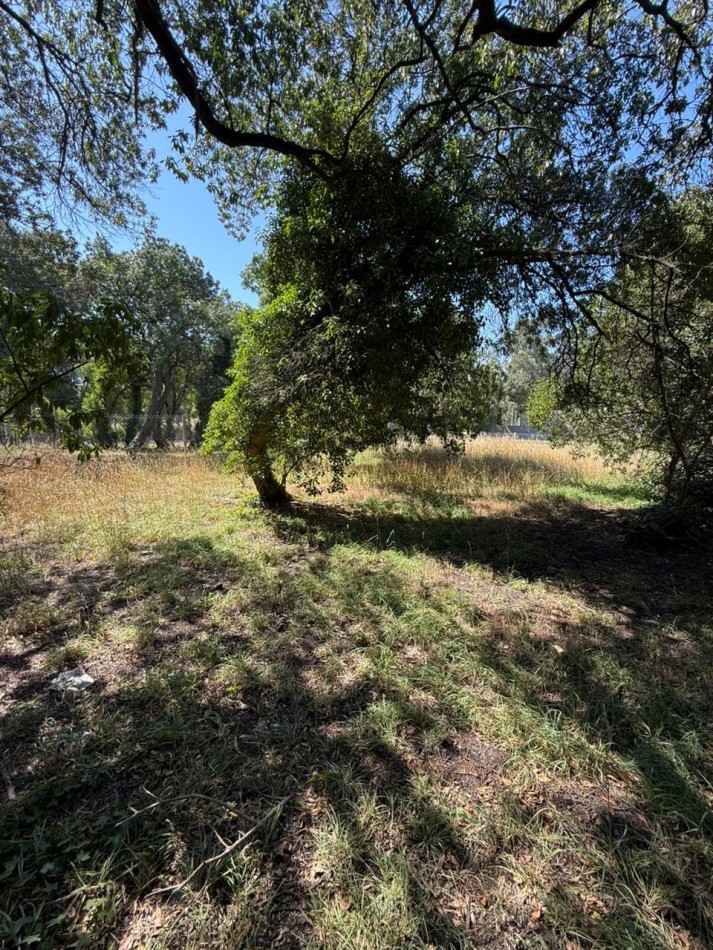 LOTE PLAYA LOS LOBOS, A 2 CUADRAS DEL MAR! 281M2