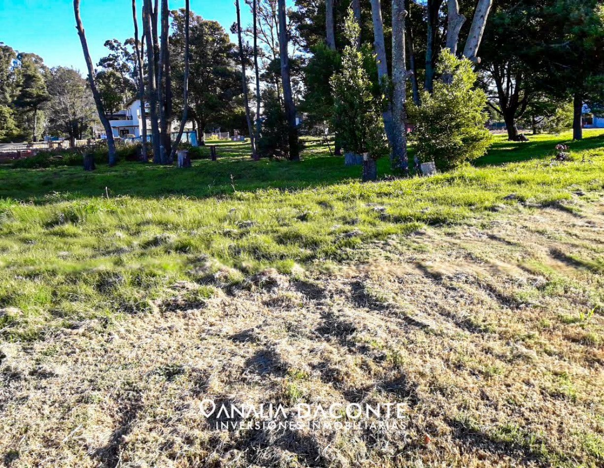 Lote en barrio privado Las Prunas