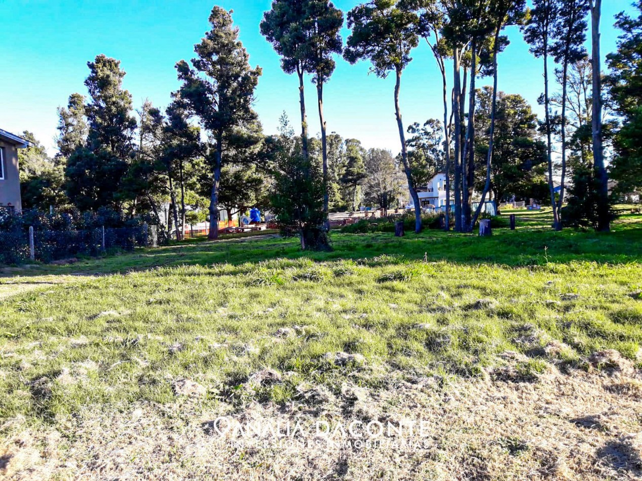 Lote en barrio privado Las Prunas