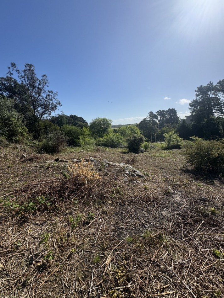 Excelente lote en Sierra de los Padres en hermoso entorno 600 mts2