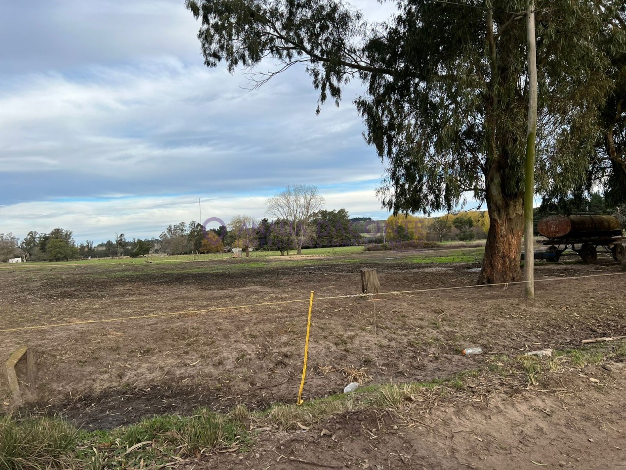 HERMOSO CAMPO 10 HECTAREAS EN SIERRA DE LOS PADRES. CASA 4 AMB. GALPON, CISTERNA. LUZ ELECTRICA