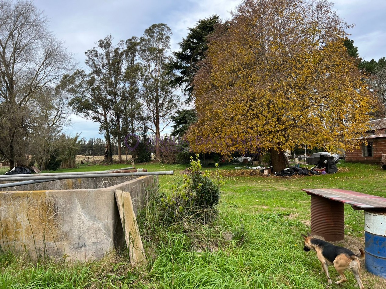 HERMOSO CAMPO 10 HECTAREAS EN SIERRA DE LOS PADRES. CASA 4 AMB. GALPON, CISTERNA. LUZ ELECTRICA