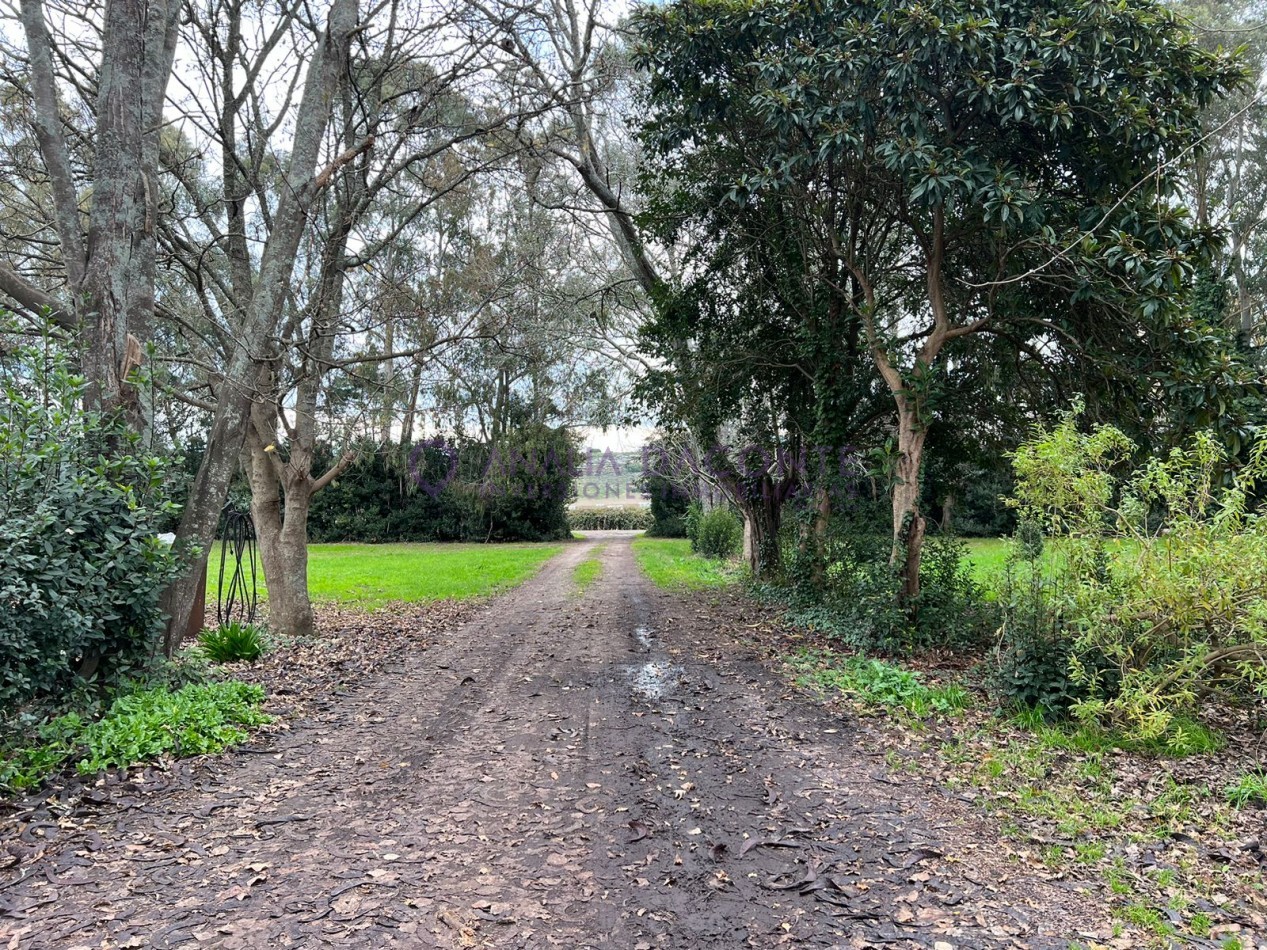 HERMOSO CAMPO 10 HECTAREAS EN SIERRA DE LOS PADRES. CASA 4 AMB. GALPON, CISTERNA. LUZ ELECTRICA