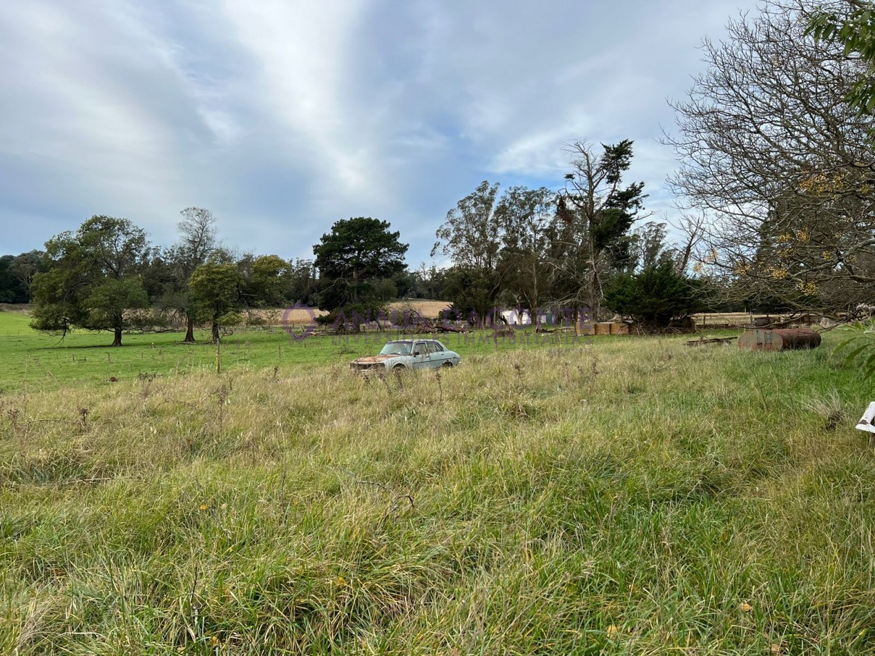 HERMOSO CAMPO 10 HECTAREAS EN SIERRA DE LOS PADRES. CASA 4 AMB. GALPON, CISTERNA. LUZ ELECTRICA