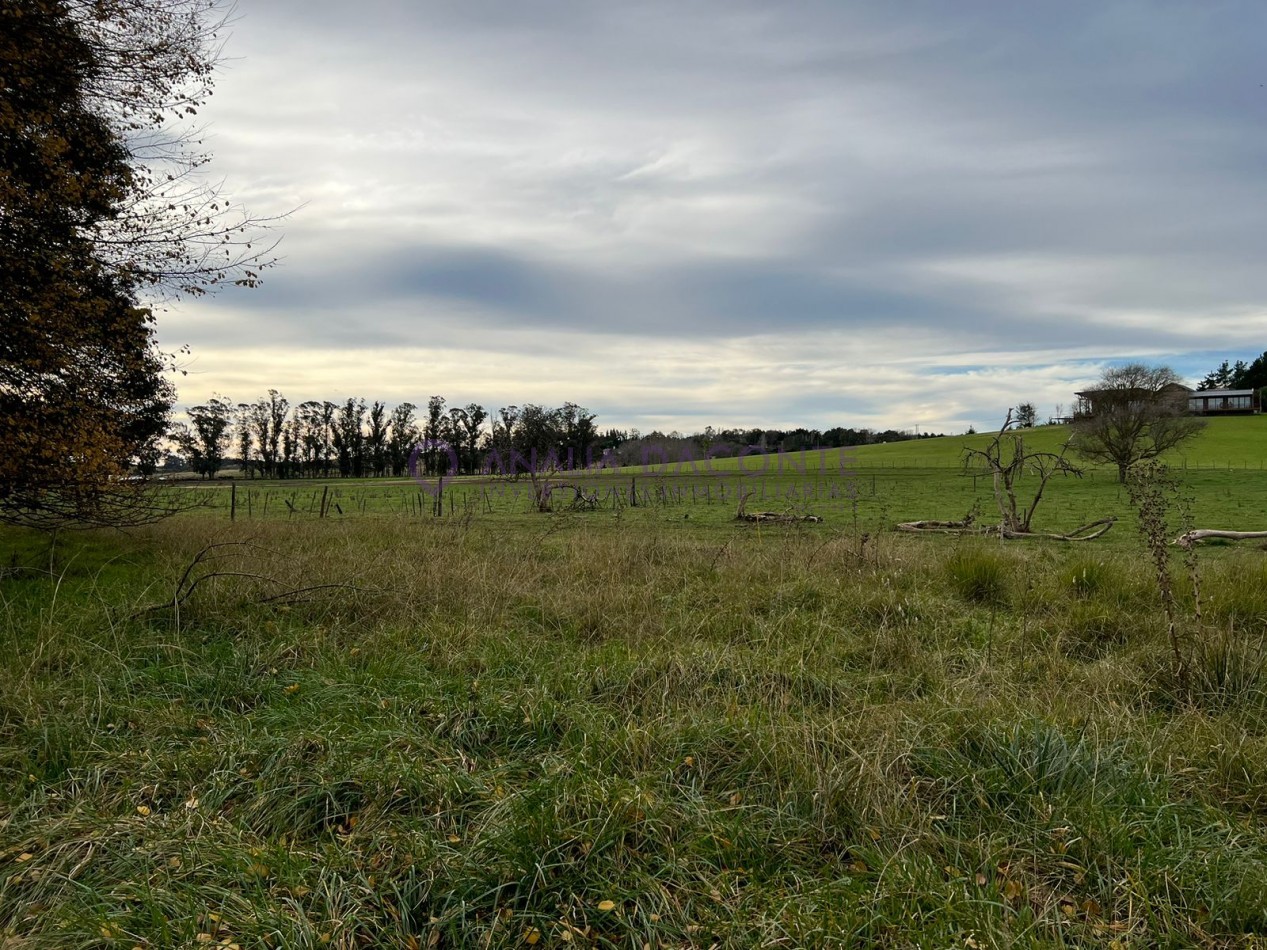 HERMOSO CAMPO 10 HECTAREAS EN SIERRA DE LOS PADRES. CASA 4 AMB. GALPON, CISTERNA. LUZ ELECTRICA