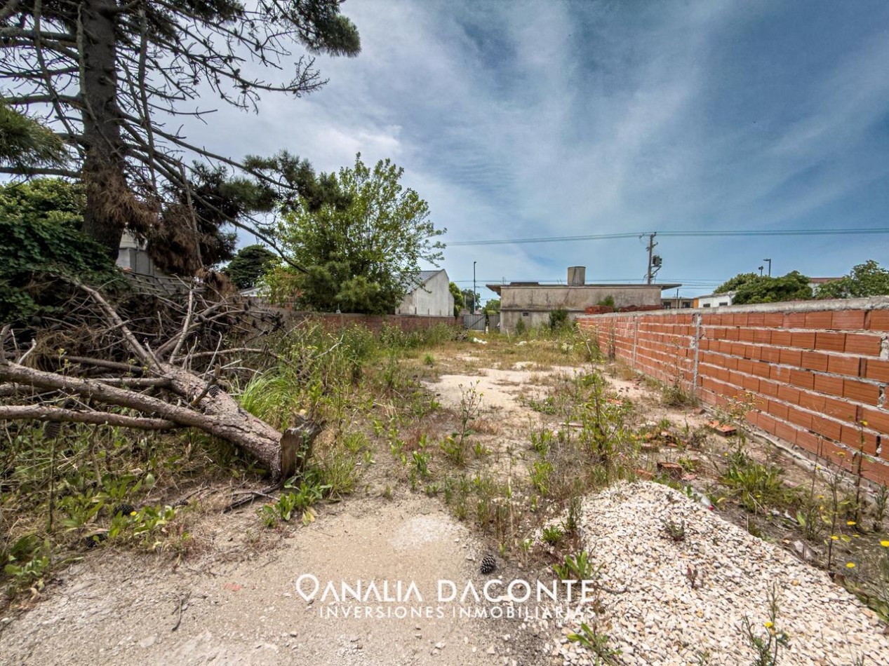 CORRALON SOBRE AV. TEJEDOR. LOTE DE 433M2!