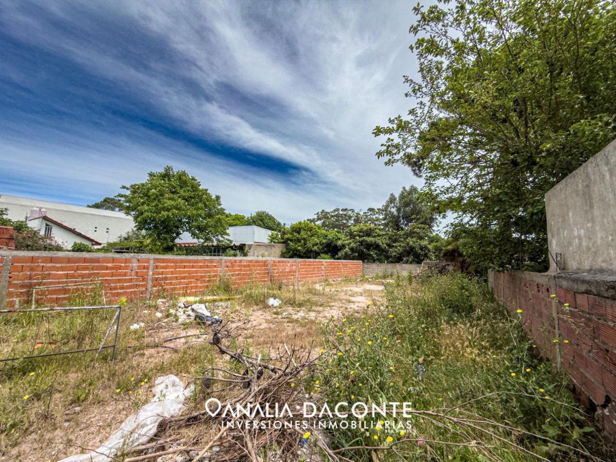 CORRALON SOBRE AV. TEJEDOR. LOTE DE 433M2!