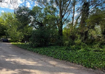 HERMOSO Y AMPLIO LOTE EN EL TEJADO!