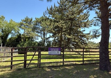 LOTE EN LA CALETA DE 421M2