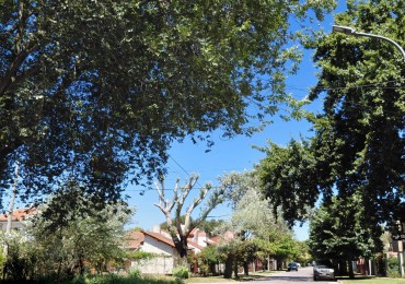 Gran lote en equina, a 200 metros de constitucion! inmejorable ubicacion!!