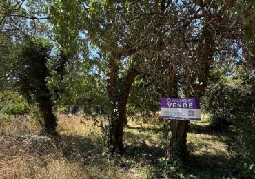 LOTE PLAYA LOS LOBOS, A 2 CUADRAS DEL MAR! 281M2