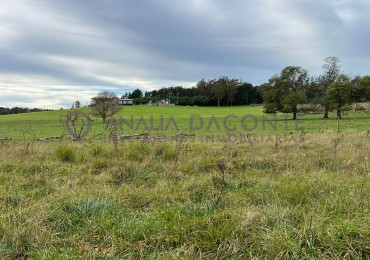 HERMOSO CAMPO 10 HECTAREAS EN SIERRA DE LOS PADRES. CASA 4 AMB. GALPON, CISTERNA. LUZ ELECTRICA